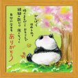 画像1: サリー 20角額装 SA-274 (1)
