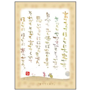 画像1: 澤田直見 ポストカード