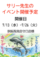 サリー　実演