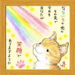 画像1: サリー 20角額装 SA-282