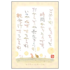 画像: 澤田直見 ポストカード