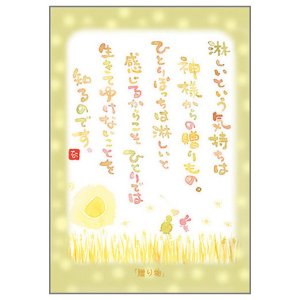 画像: 澤田直見 ポストカード